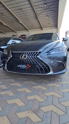 شاهد الفيديو
