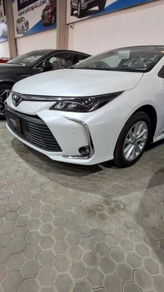 شاهد الفيديو