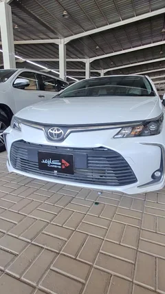 شاهد الفيديو