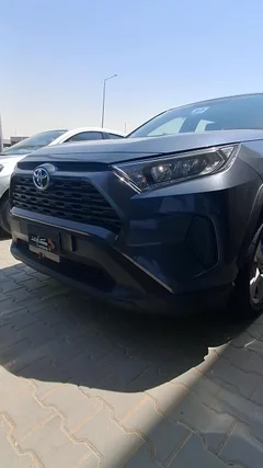 شاهد الفيديو