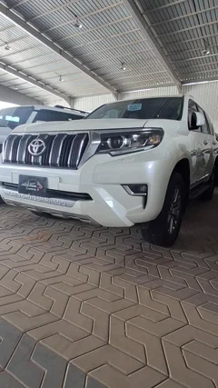 شاهد الفيديو