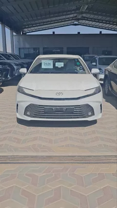 شاهد الفيديو