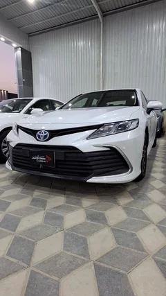 شاهد الفيديو