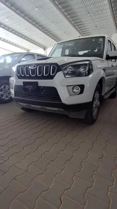 شاهد الفيديو