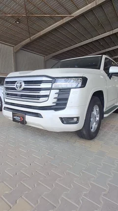 شاهد الفيديو