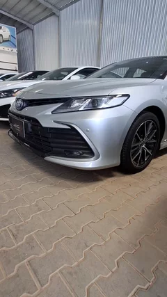 شاهد الفيديو