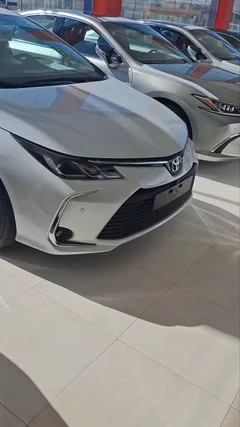 شاهد الفيديو
