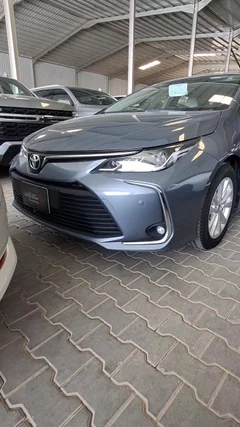 شاهد الفيديو