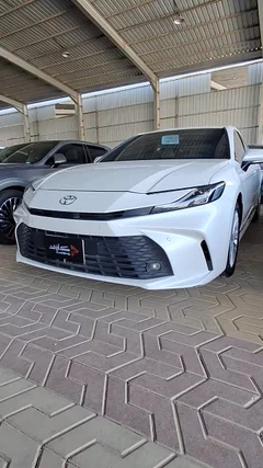 شاهد الفيديو