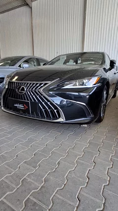 شاهد الفيديو