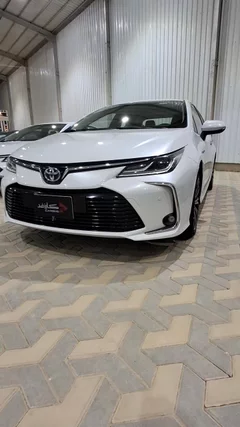 شاهد الفيديو