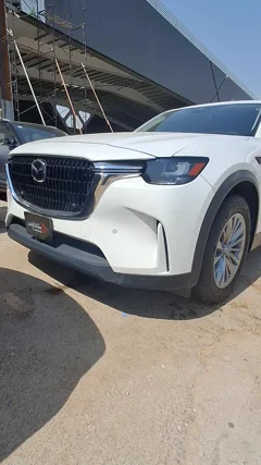 شاهد الفيديو