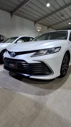 شاهد الفيديو