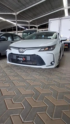 شاهد الفيديو