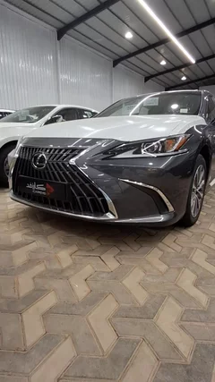 شاهد الفيديو