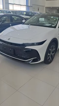 شاهد الفيديو