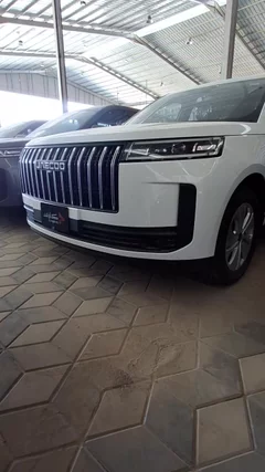 شاهد الفيديو