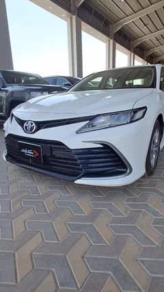 شاهد الفيديو