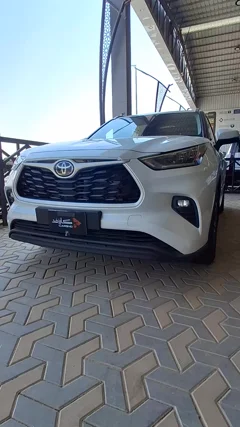 شاهد الفيديو