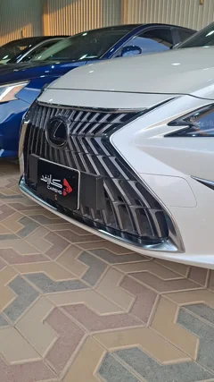 شاهد الفيديو